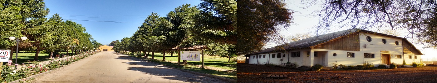SNA Educa
