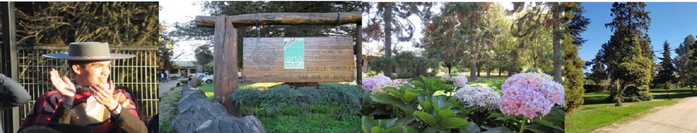 SNA Educa