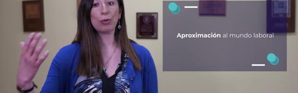 Captura-de-Pantalla-2020-06-25-a-las-09.10.41