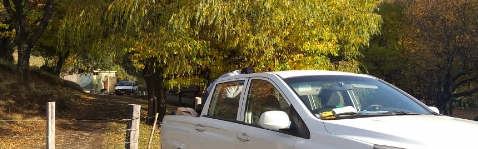 Visitas-a-estudiantes-LP-Curacautín